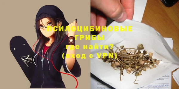 прущая мука Белокуриха