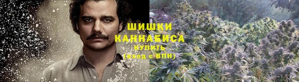 прущая мука Белокуриха